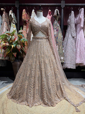 Champagne Gold Embellished Lehenga with Long-Sleeve Blouse & Dupatta