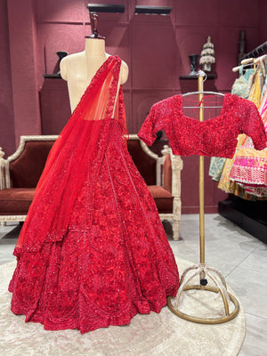Red Colour Hand Embroidered Lehenga With Designer Blouse