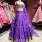 Purple Embroidered Lehenga with Designer Blouse & Net Dupatta